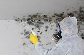  , USA Mold Inspection Pros